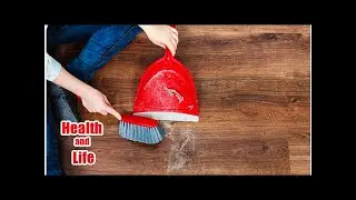 45 Potentially Hazardous Chemicals Common in Household Dust: Study