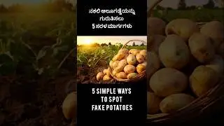 5 SIMPLE WAYS TO SPOT FAKE POTATOES | @sangyinfy | #vegetables | #awareness