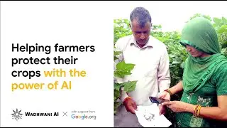 Using AI to help farmers increase their yields | Wadhwani AI x Google.org