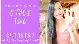 HOW TO ACCEPT YOUR PARTNER'S FLAWS // When Reality Sets in Synastry Astrology