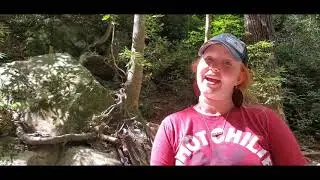 The Mustard Seeds Adventure with Ashley and Chris Phillips