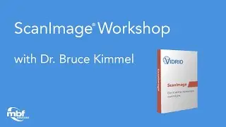 ScanImage 2021 Workshop Talk with Director, Bruce Kimmel