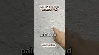 [9reno] External wall plaster bubbling, paint peeling, efflorescence, crack and plaster dropped off