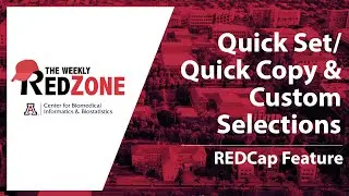 REDZone — Быстрая настройка/Быстрое копирование и пользовательский выбор