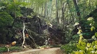Tohonya-szurdok, J&oacute;svafő