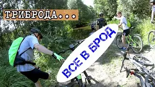 Триброда. Версия 