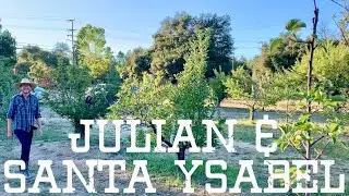 Julian & Santa Ysabel: Rusted & Rustic Adventure