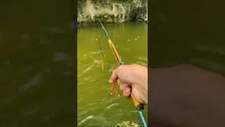 Best unique fish hook fishing techniques in river #fishing #fish #shorts