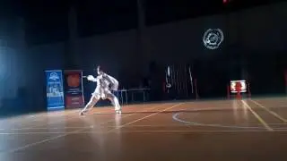 Wushu Show-Sara W&oacute;jcik-styl węża (she quan)