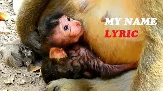 So Cute Sister Lola's NewBorn Lucas Just Born - New Baby Lucas Not Get Milk Yet