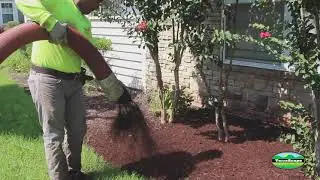 Mulch Blowing - Terrascape