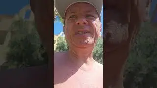 Moja ulubiona palma? 🌴 Oto Cocos nucifera &ndash; prawdziwa kr&oacute;lowa tropik&oacute;w!