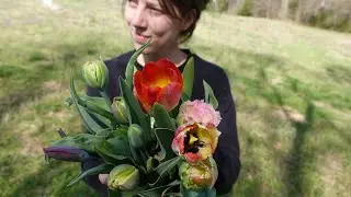 Spring Flower Harvest 2025! | Wild Pines Farm