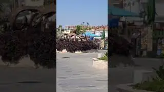 Нетсель марина. Мармарис.