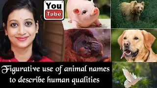 SIMPLE LEARNING : Figurative use of animal names to describe human qualities