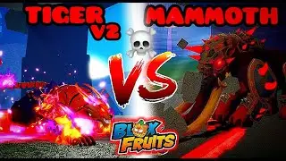 TIger Vs Mammoth (GOD OF THE SPAM💀💀)  Blox fruits