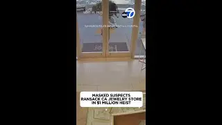 Masked mob ransacks jewelry store in $1 million heist
