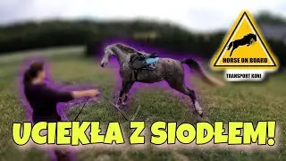 UCIECZKA Z SIODŁEM!!! PIERWSZE SIODŁANIE!!!