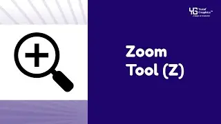 The Zoom Tool in CorelDRAW Explained - Why You Need It
