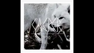 Casper - Das Grizzly Lied [with Lyrics]