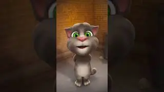 kuttar bacha futfutea sundor new talking Tom funny video 🤣 #funny #tom #video
