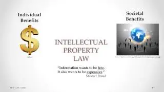 Intellectual Property Law:   Balancing individual rights and societal benefits