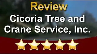 Cicoria Tree and Crane Service Inc - 5 Star Review for Tree Trimming in Beverly, Massachusetts