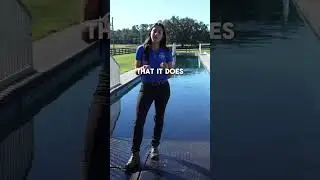 LET'S GO FOR A SWIM! 🏊&zwj;♀️