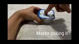 How does the plastic thingy have no water in it??