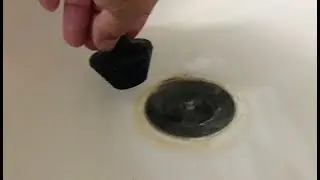StopShroom Stopper - Quick Review