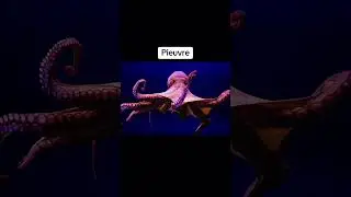 Des animaux que vous n’avez jamais vu bébés 😳