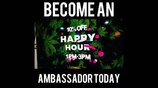 Dispensary Brand Ambassador Sign Ups  Powered By Push Local