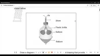 Life Sciences Grade 11 Practical Task Gaseous Exchange Term 3