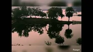 The magic contained in water.. #nature #reflection #water #scenery #minivlog #campus #views #green
