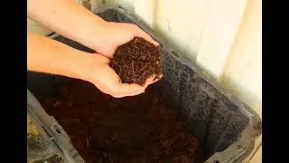 Making insects work for you, Vermicomposting