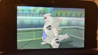 Pok&eacute;mon Battle Spot Doubles