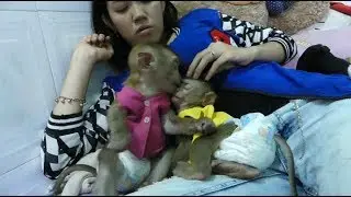 Oh Amazing!! Baby Dodo Fall In Love Baby Mori He Give A Kiss To Mori When She Sleeping