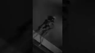 SCP 2863
