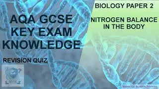 Biology paper 2 Nitrogen balance in the body Key Exam Knowledge Quiz