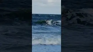 Crazy Dismount #viral