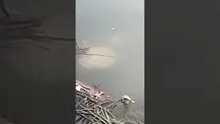 bati diye fishing kora.