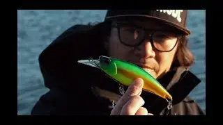 Going Beast Mode: Monster Shad