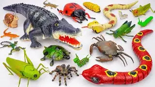 🦎toy asmr🦎 125 Mins ZURU Robo Alive Insect Collection | Robo Giant Crocodile & Snake (No Talking)