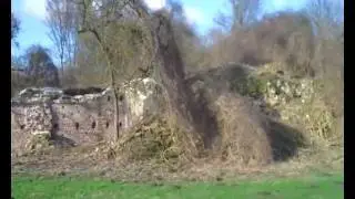 Genneperhuis Ruine