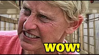 ELLEN DEGENERES ROCKED WITH HORROR NEW BOMBSHELL CLAIMS