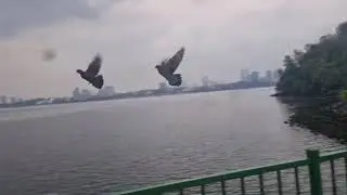 Kranji Beach Singapore @NithyaKaViknesh2024Vlog 