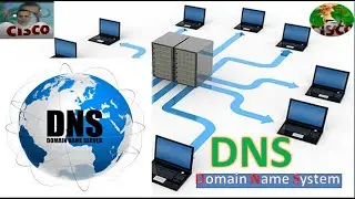 شرح بروتوكول dns