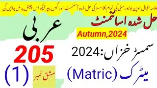 AIOU Code 205 Solved Assignment No.1 Autumn 2024||Rais Aiou studio