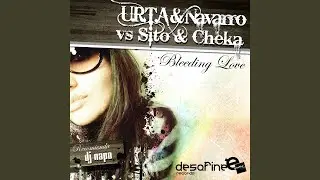 Bleeding Love (Original Mix)