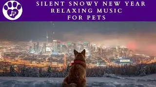 Silent Snowy New Year | Relaxing Music  for Pets